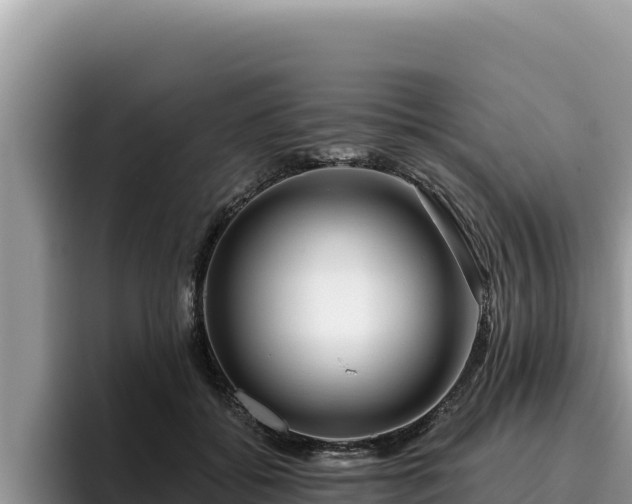 X0000095900556200801181248