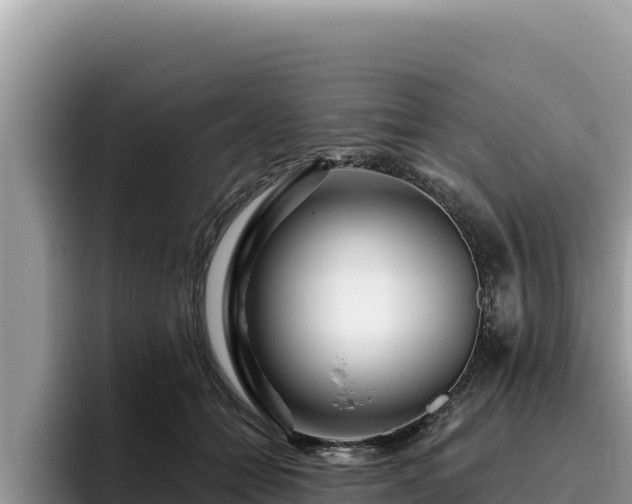 X0000095900558200801181248