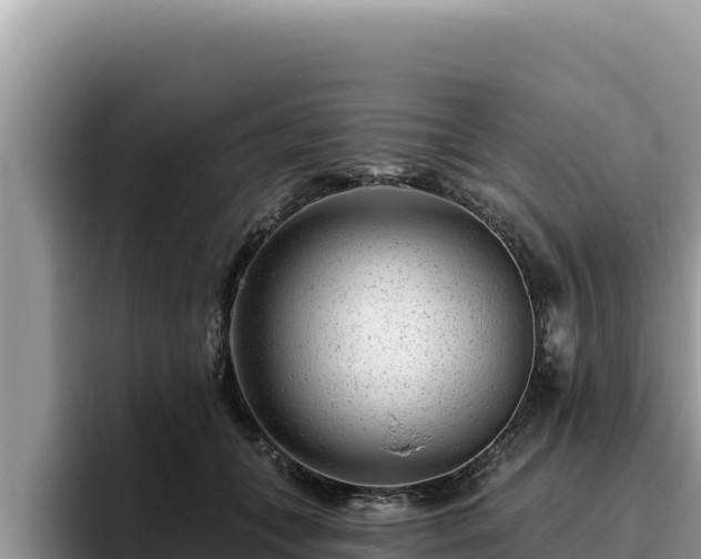 X0000095900559200801181248