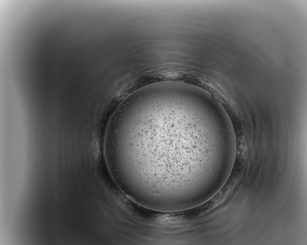 X0000095900568200801181248