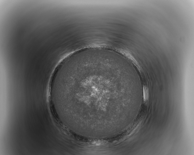 X0000095900579200801181248