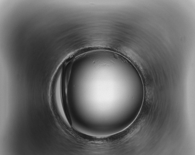 X0000095900580200801181248