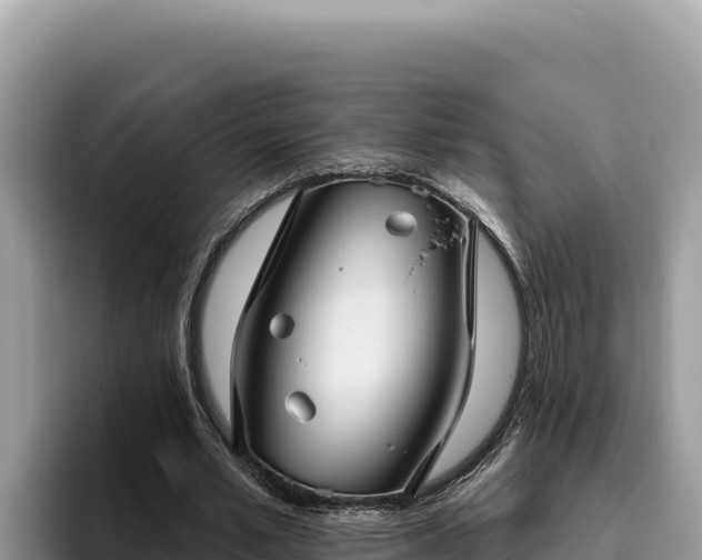 X0000095900581200801181248