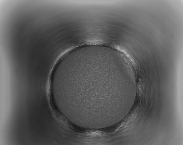 X0000095900583200801181248