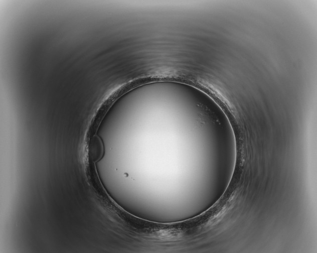 X0000095900584200801181248