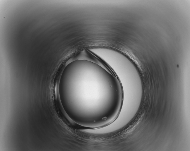 X0000095900585200801181248