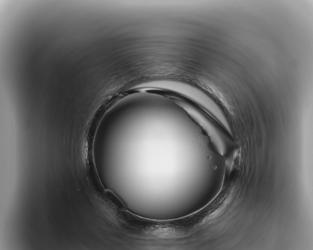 X0000095900589200801181247