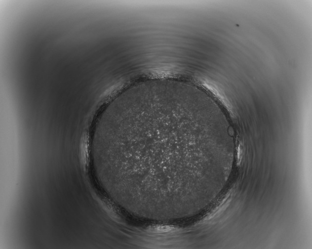 X0000095900590200801181247