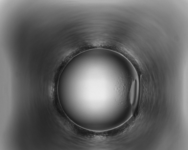 X0000095900592200801181247