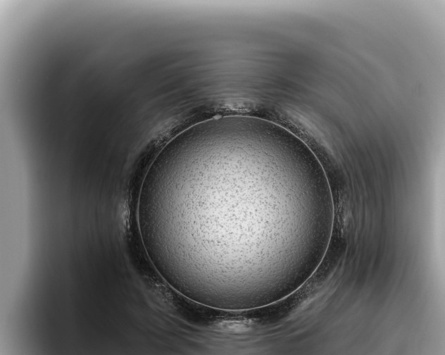 X0000095900595200801181247