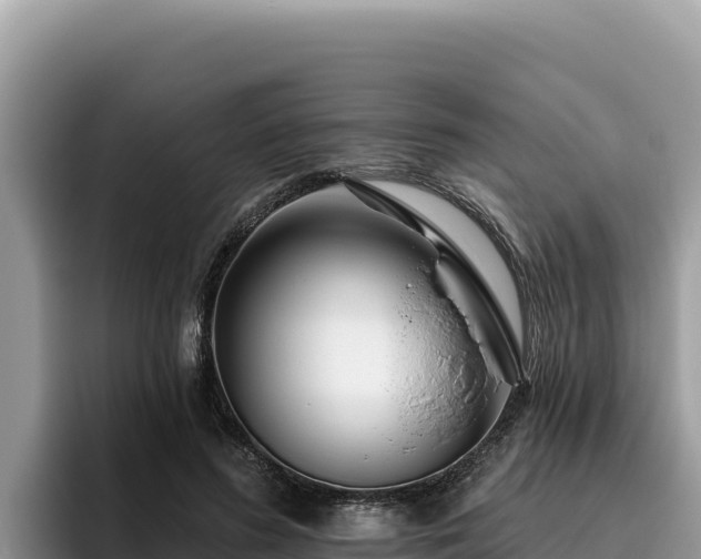 X0000095900596200801181247