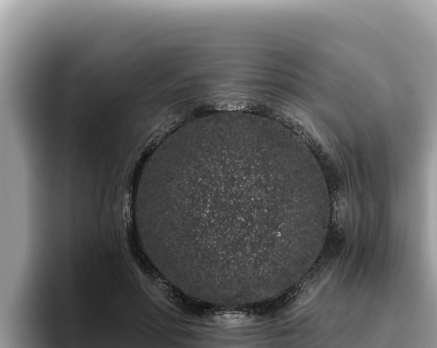 X0000095900598200801181247