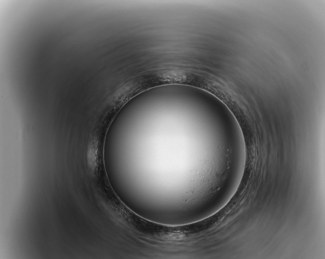 X0000095900600200801181247