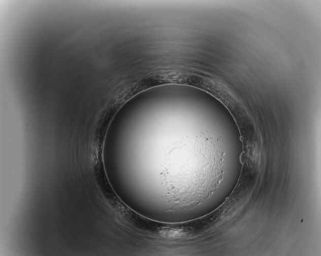 X0000095900602200801181247