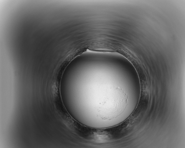 X0000095900603200801181247