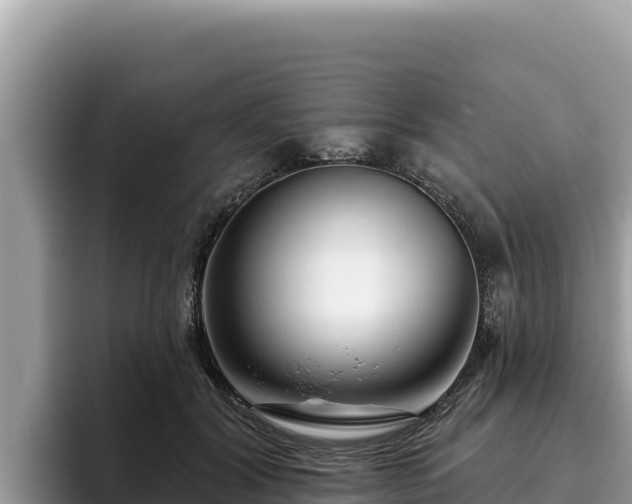 X0000095900604200801181247