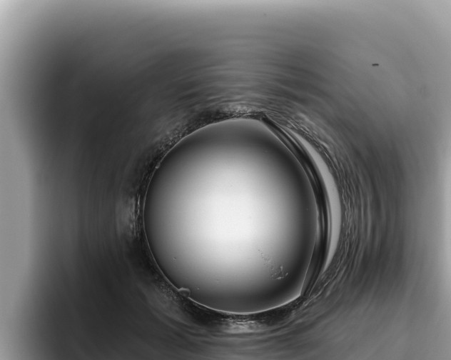 X0000095900605200801181247