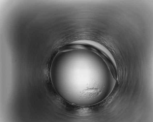 X0000095900609200801181247