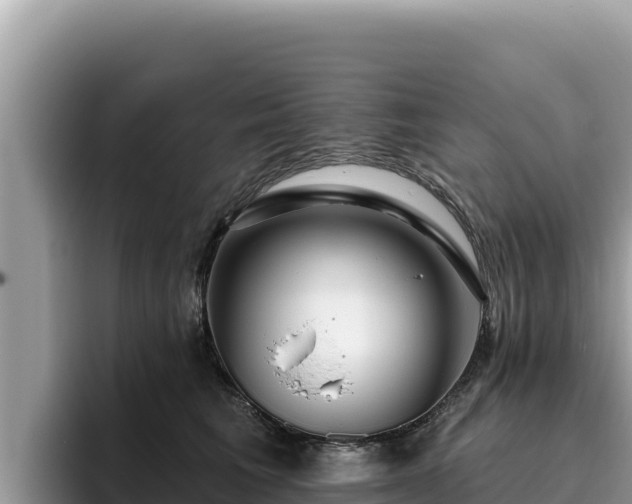 X0000095900613200801181247