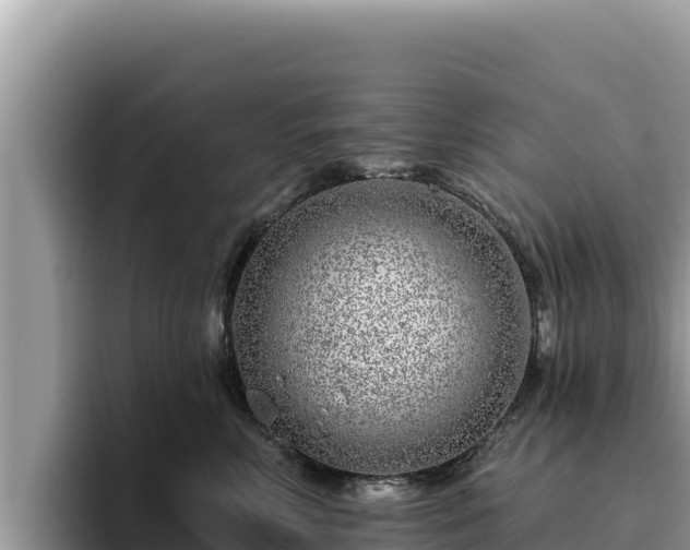 X0000095900618200801181247