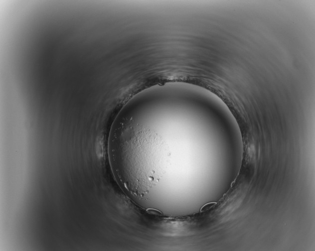 X0000095900620200801181247