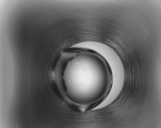 X0000095900621200801181247