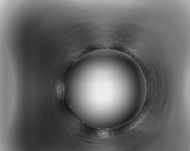 X0000095900624200801181247