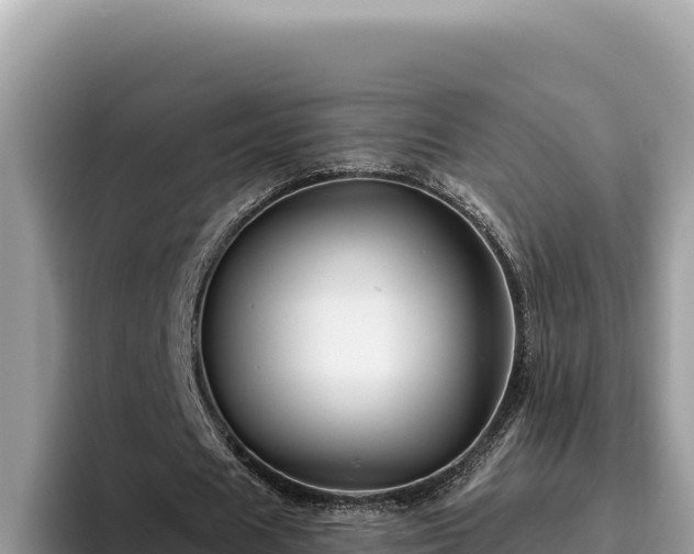 X0000095900625200801181246