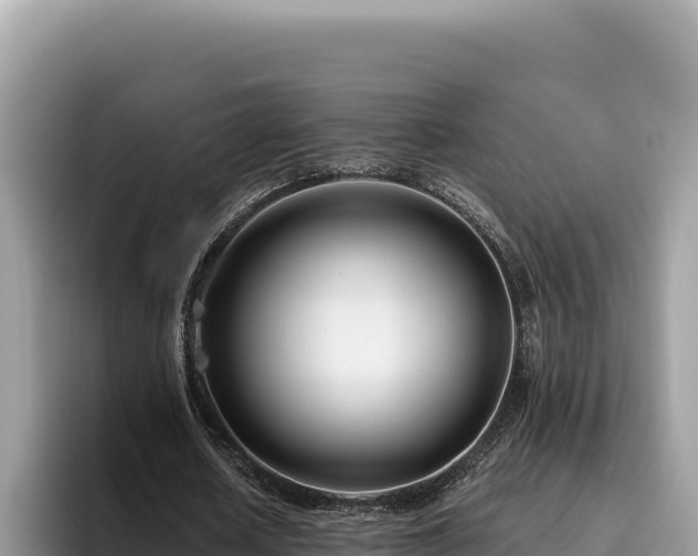 X0000095900626200801181246