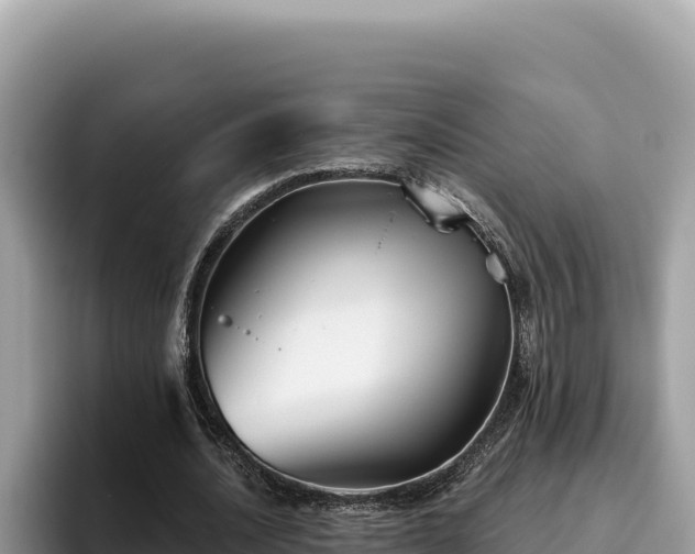 X0000095900628200801181246