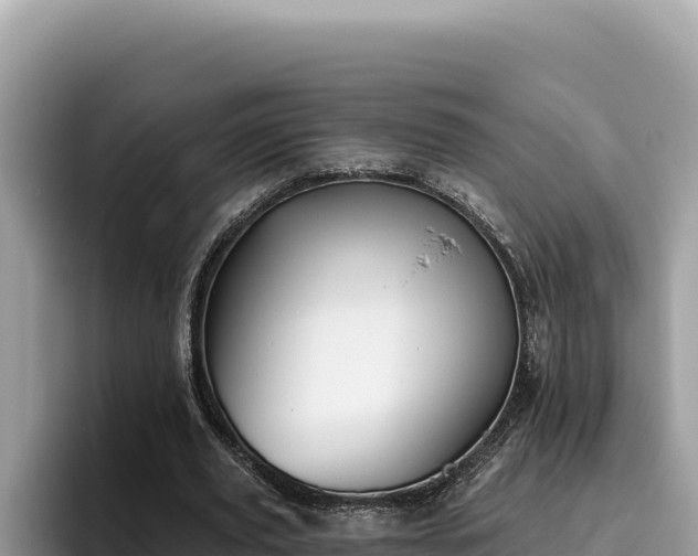 X0000095900629200801181246