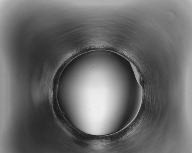 X0000095900630200801181246