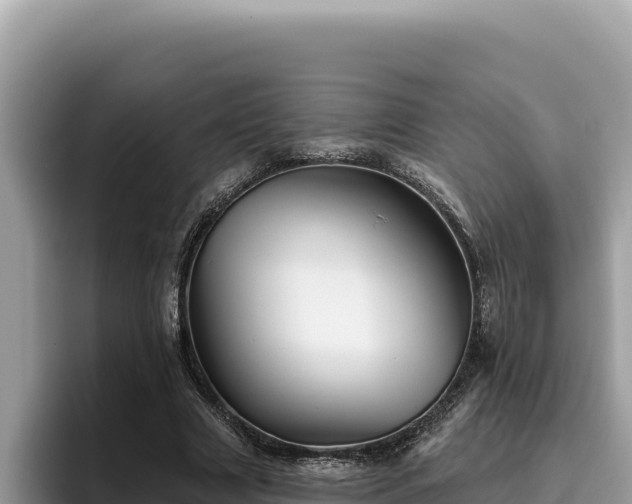 X0000095900633200801181246