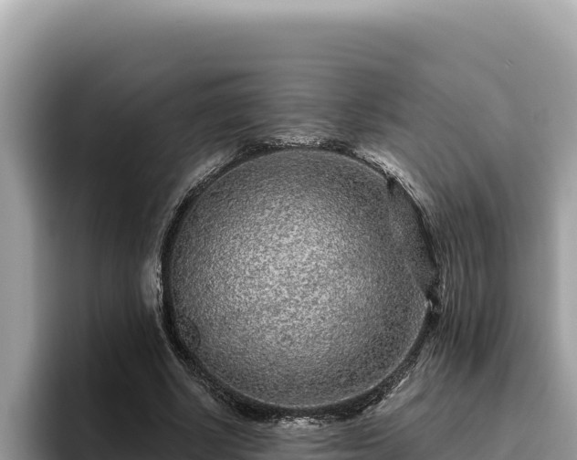 X0000095900634200801181247