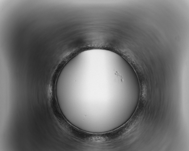 X0000095900636200801181247