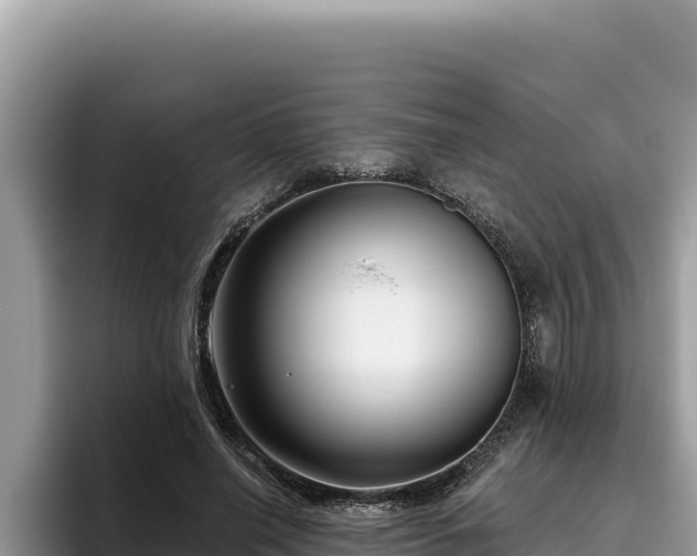 X0000095900638200801181247