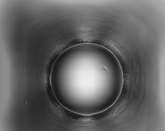 X0000095900639200801181247