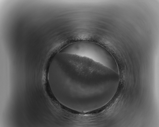 X0000095900640200801181247