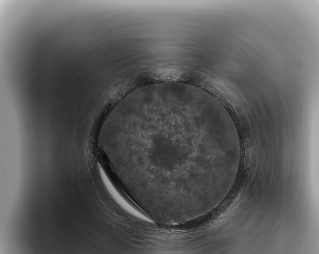 X0000095900641200801181247