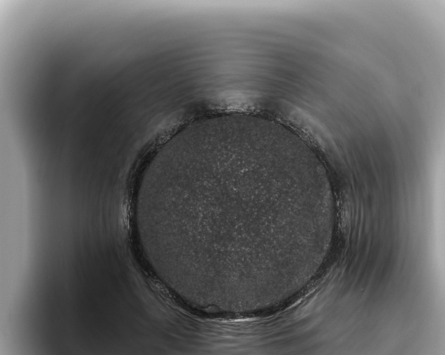 X0000095900643200801181247