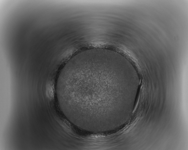 X0000095900644200801181247