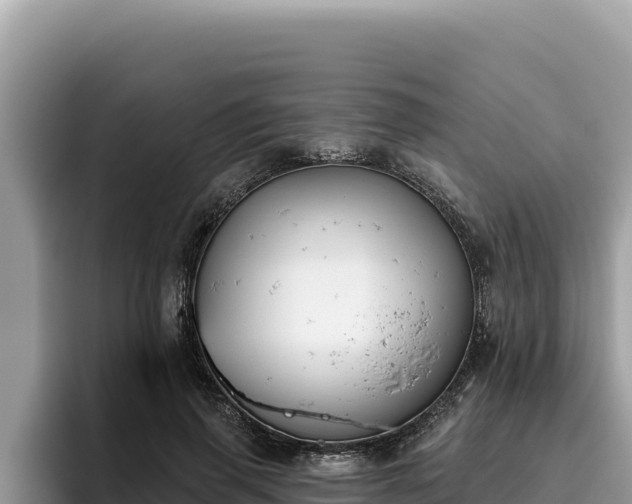 X0000095900645200801181247