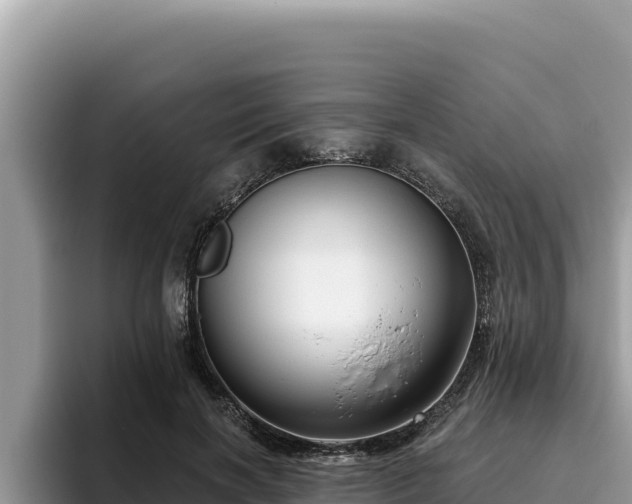 X0000095900646200801181247