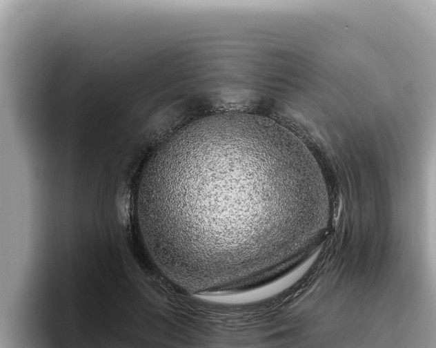 X0000095900647200801181247