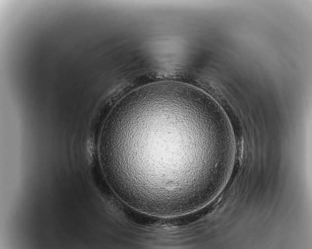 X0000095900648200801181247