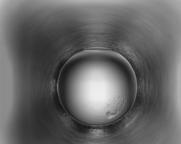 X0000095900649200801181247