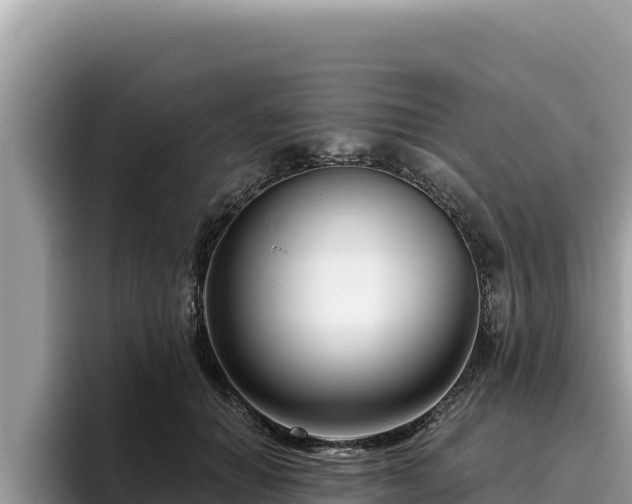 X0000095900654200801181247