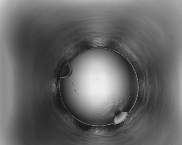 X0000095900655200801181247