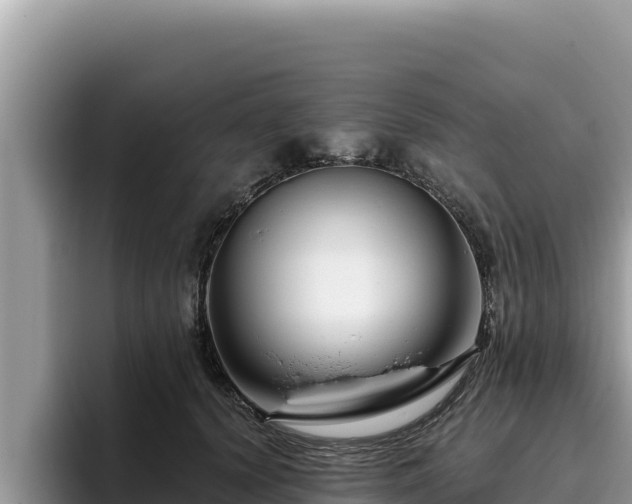 X0000095900656200801181247