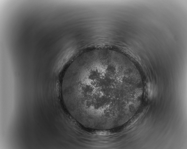 X0000095900659200801181247